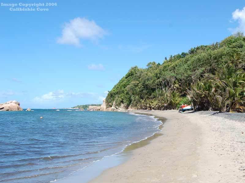 Calibishie Cove Hotel Faciliteter billede