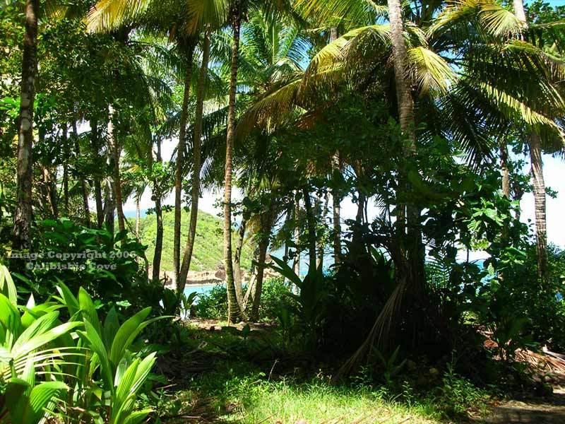 Calibishie Cove Hotel Eksteriør billede